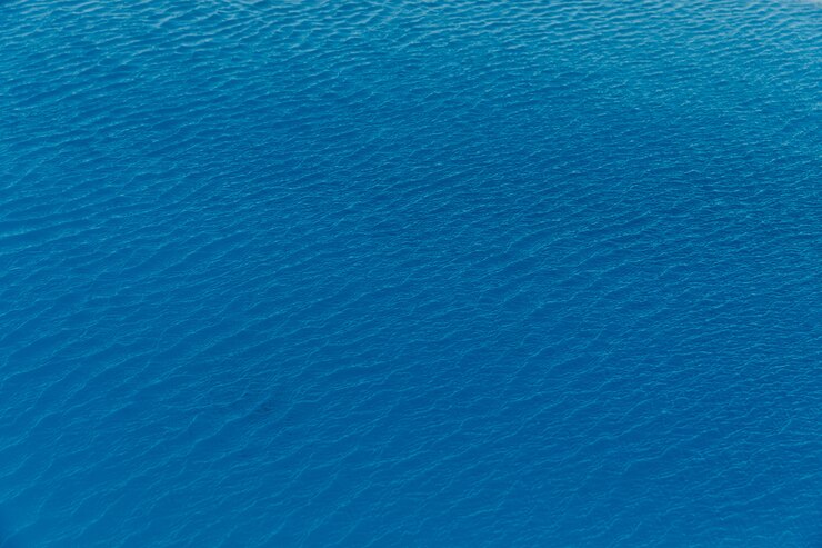 GEMELO DIGITAL DEL&nbsp;OCÉANO