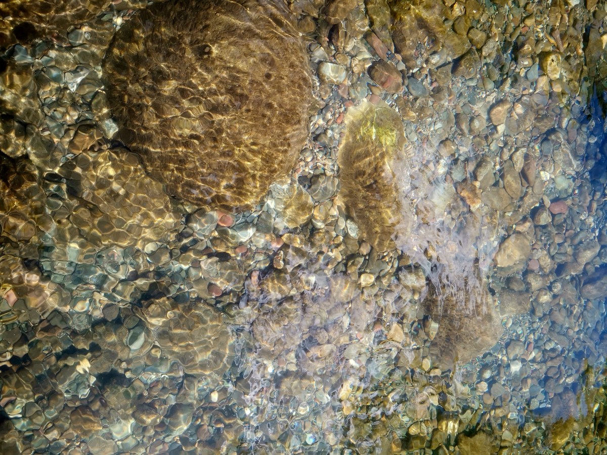 PERTE Digitalización Ciclo del Agua Urbana: ¿A cuánto ascienden las&nbsp;subvenciones?