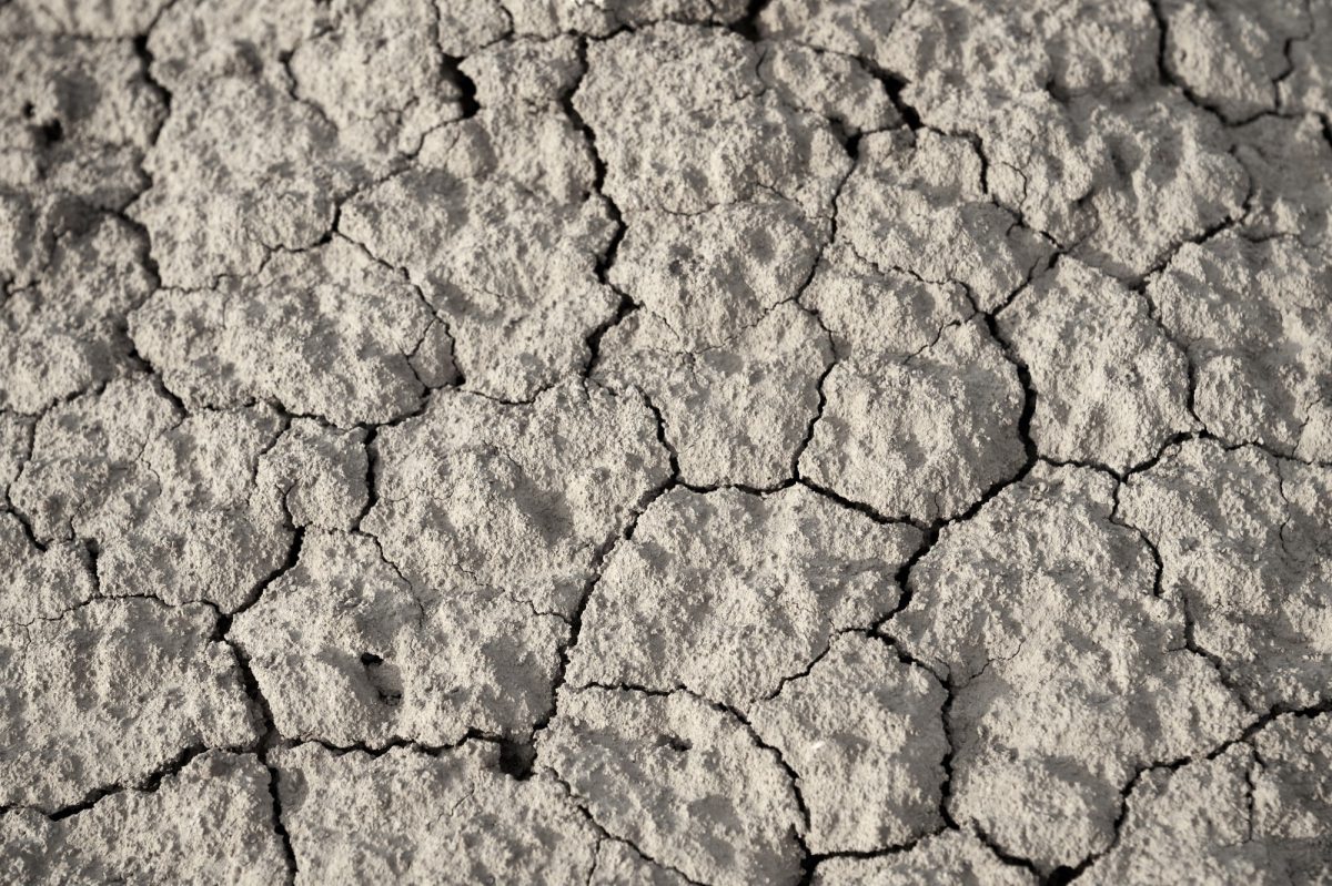 Sequía repentina: ¿Qué es y cuáles son sus&nbsp;causas?