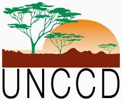 Sequía 2022: nuevo informe de la&nbsp;UNCCD